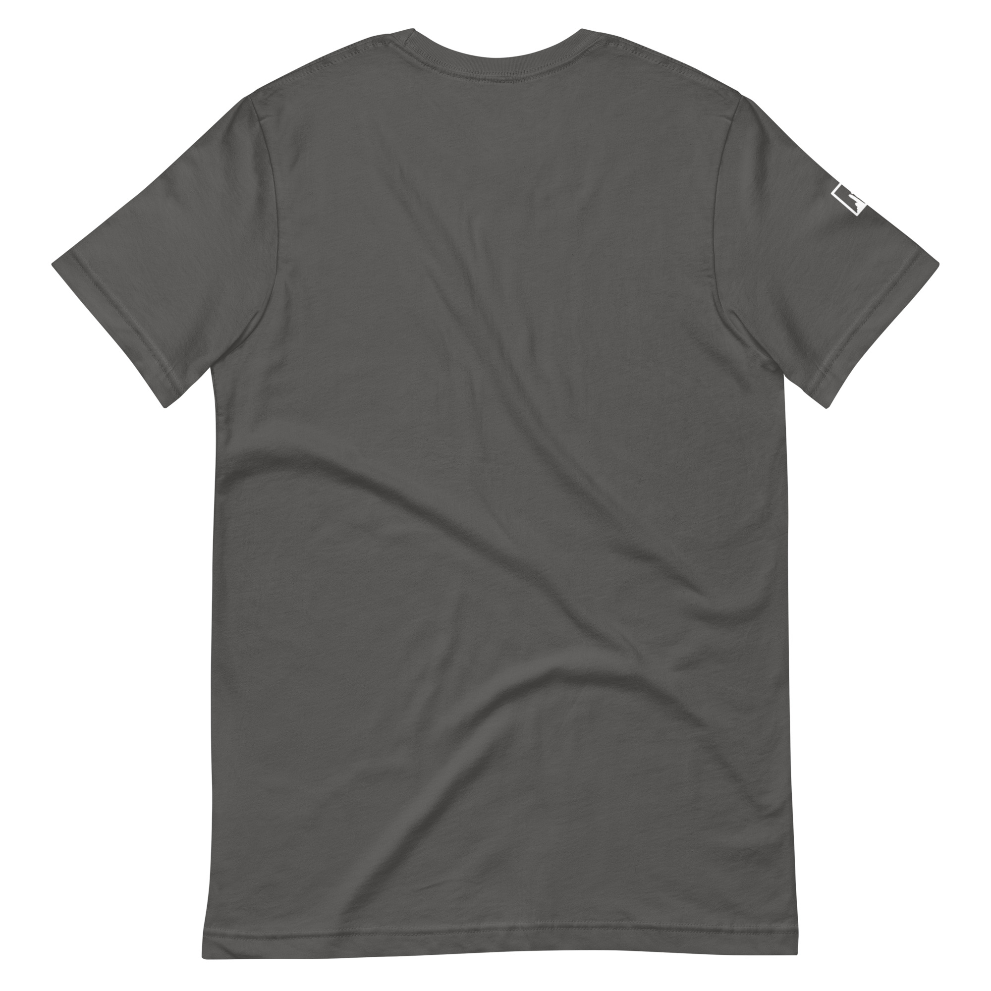 The “Who Is This Ride For?” Classic Tee - Image 4
